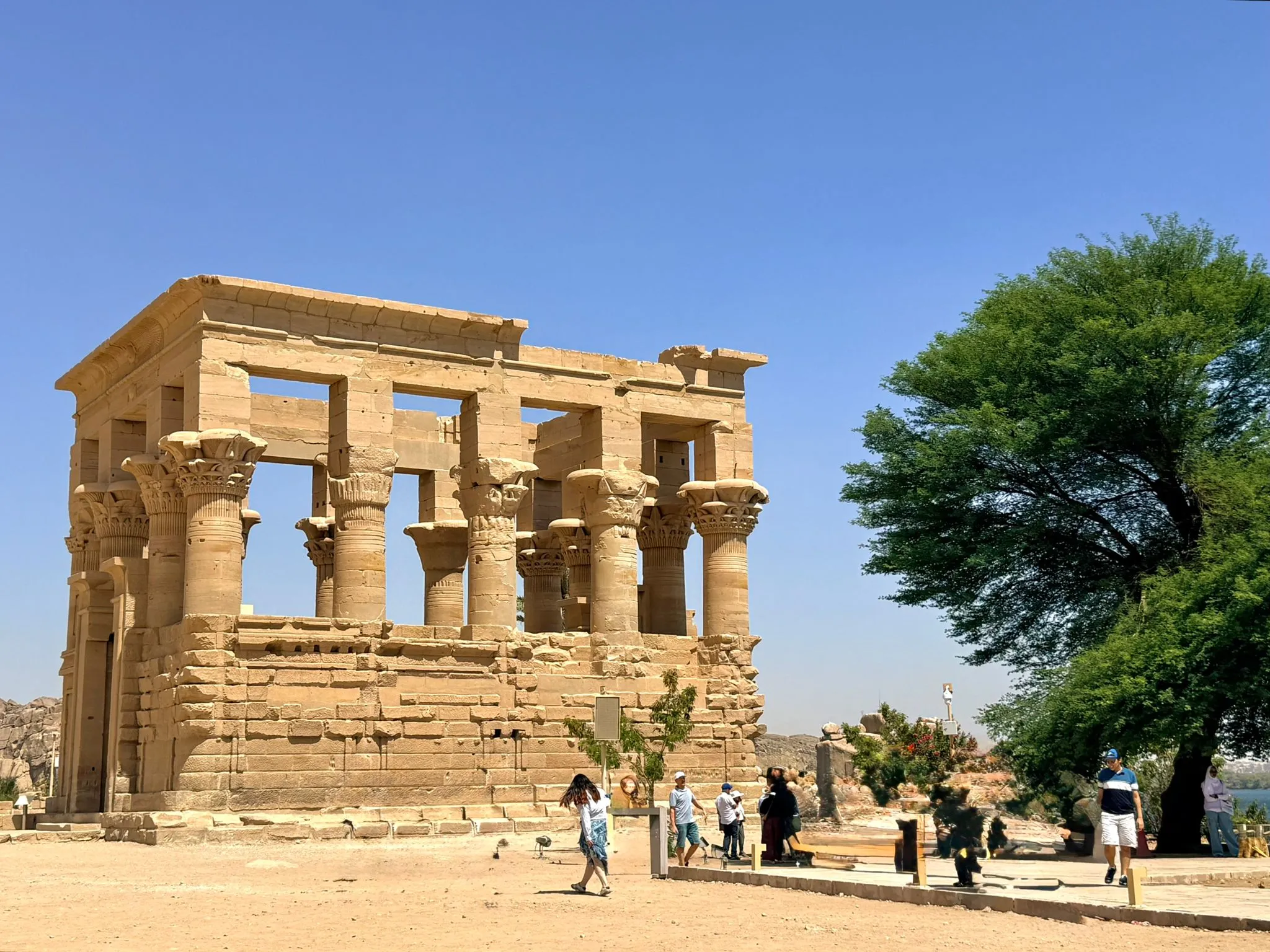 🏛️✨ Aswan & Abu Simbel Day Trip from Marsa Alam 🌅🚐 Aswan Abu simbel tour /IMG-20260310-WA0042.jpg